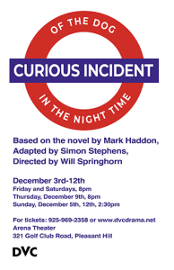The-Curious-Incident-of-the-Dog-in-the-Night-Time-331x512