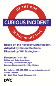 The Curious Incident of the Dog in the Night-Time